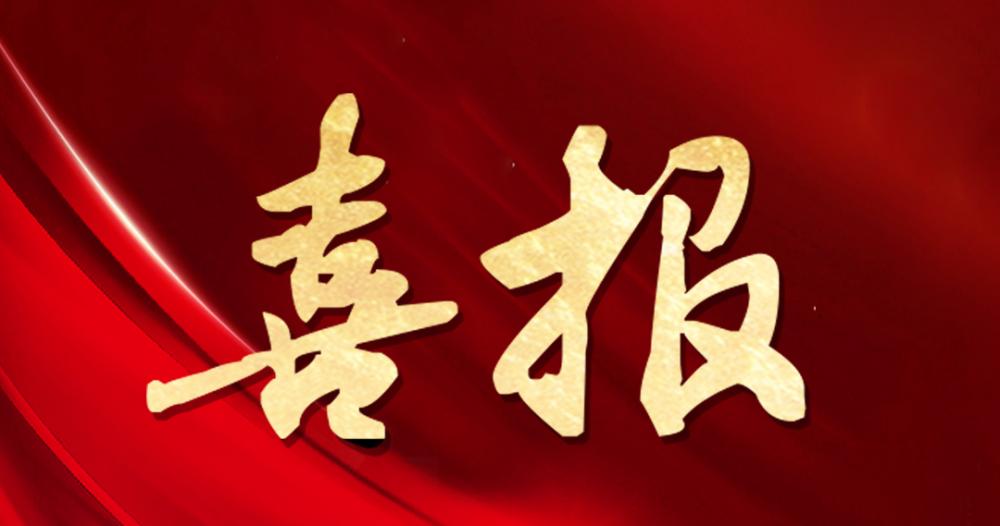 喜报 | 杭州新利手机平台获评“2024年度杰出贡献奖”